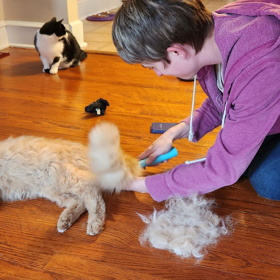 Uproot Cat and Dog Brush - Image 6
