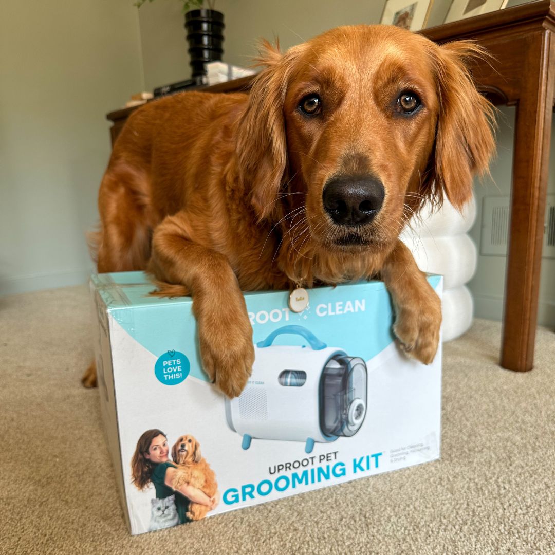 Uproot Pet Grooming Kit - Image 13