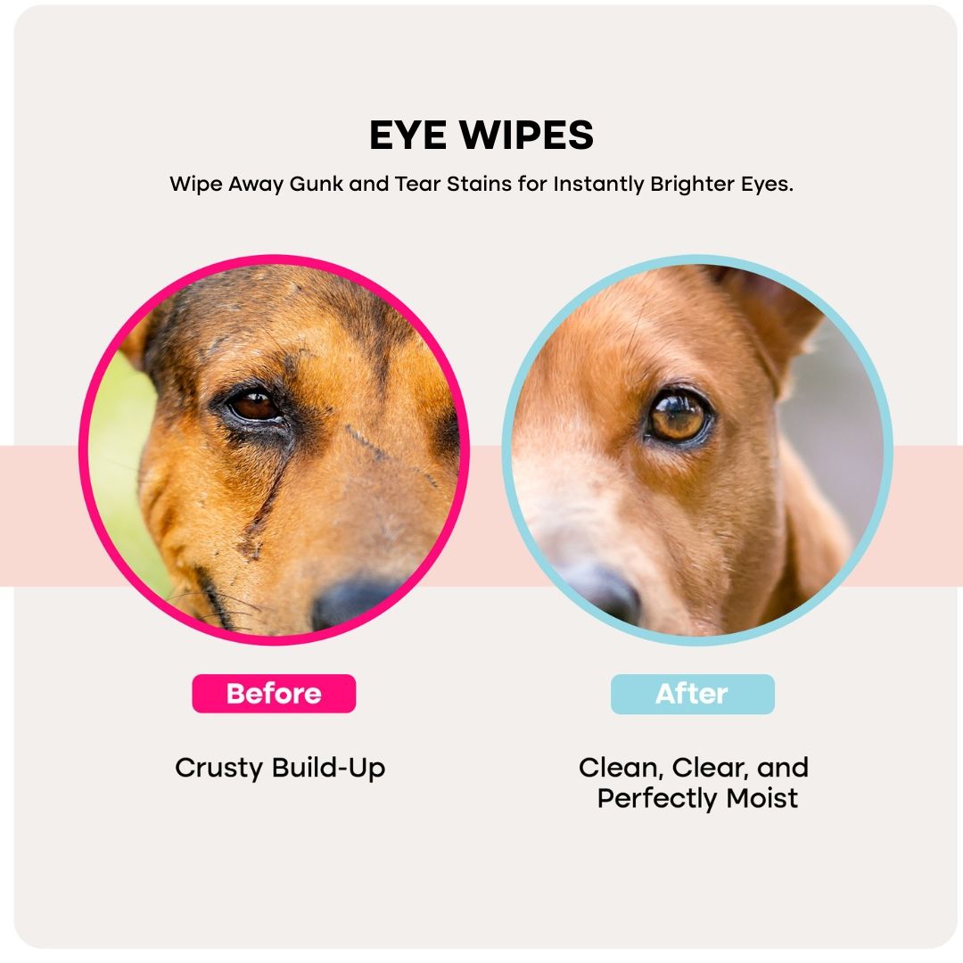 Uproot PureCare™ Kit - Image 4