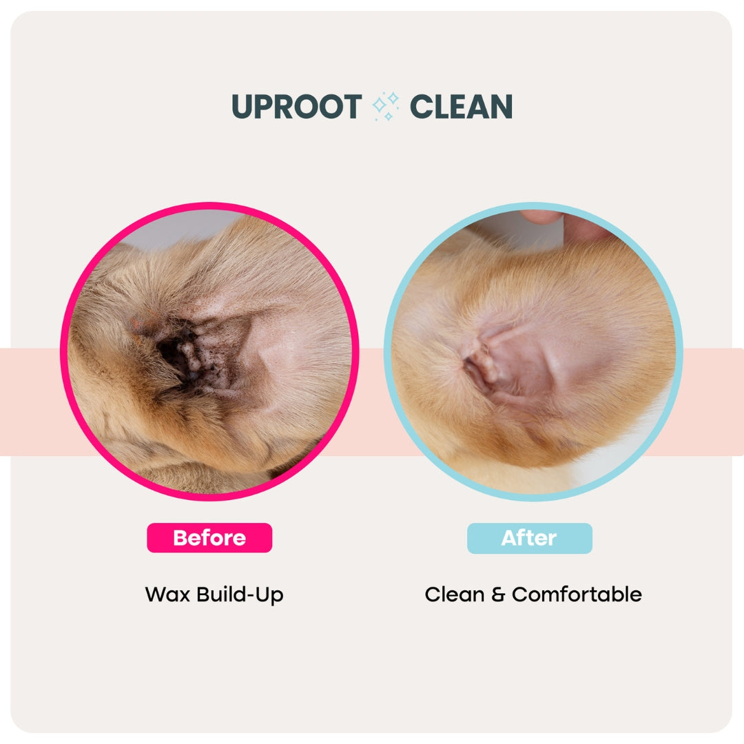 Uproot™ Ear Wipes - Image 2