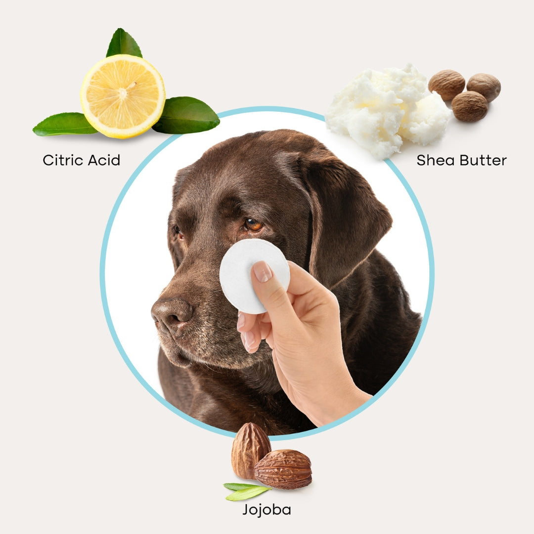 Uproot Eye Wipe Pads - Image 4