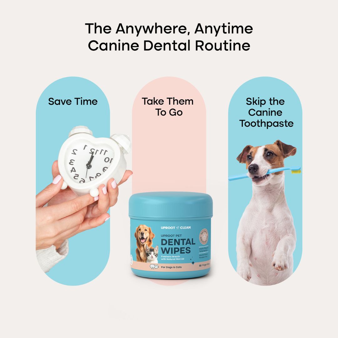 Uproot™ Dental Wipes - Image 4