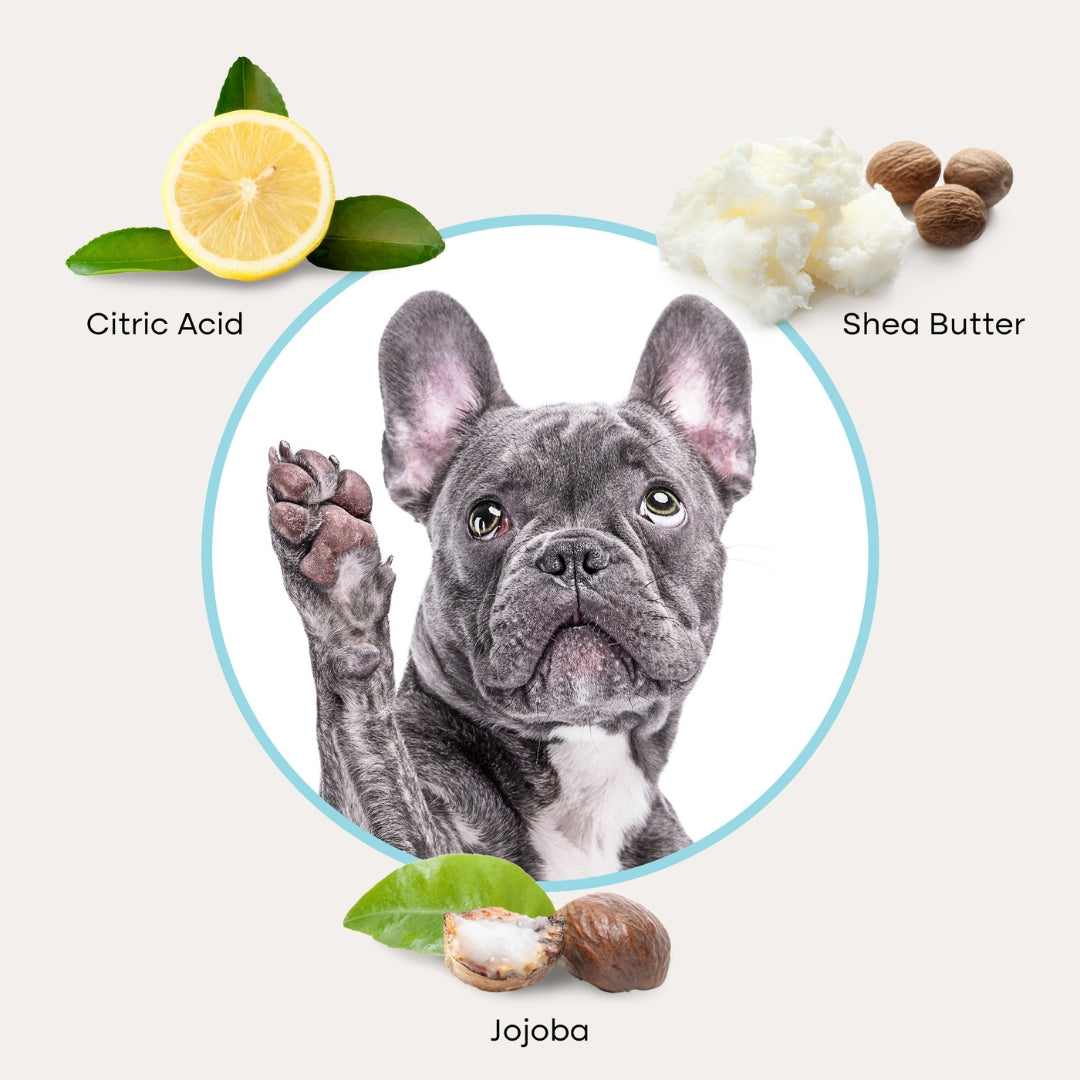 Uproot™ Ear Wipes - Image 4