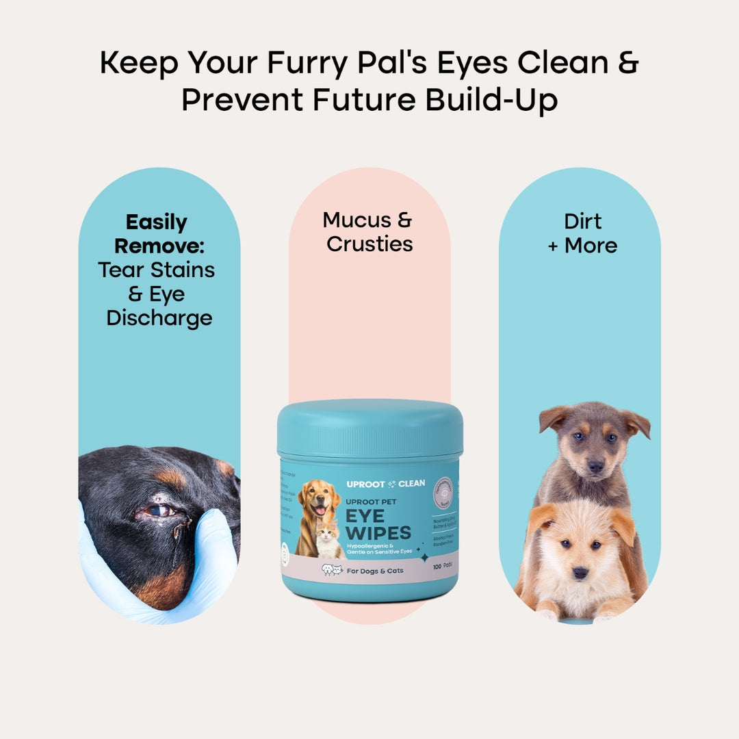 Uproot Eye Wipe Pads - Image 6