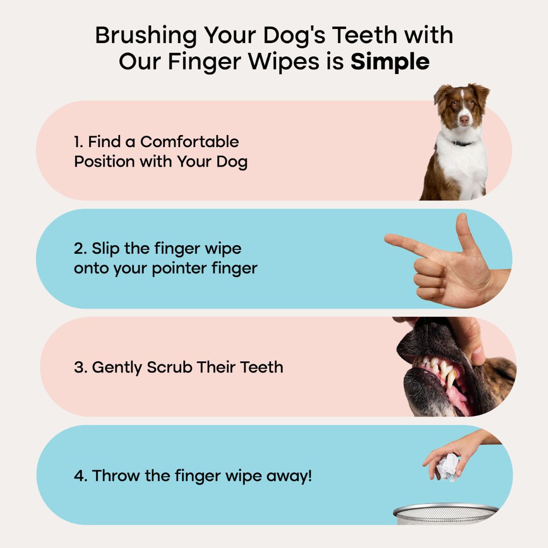 Uproot™ Dental Wipes - Image 6