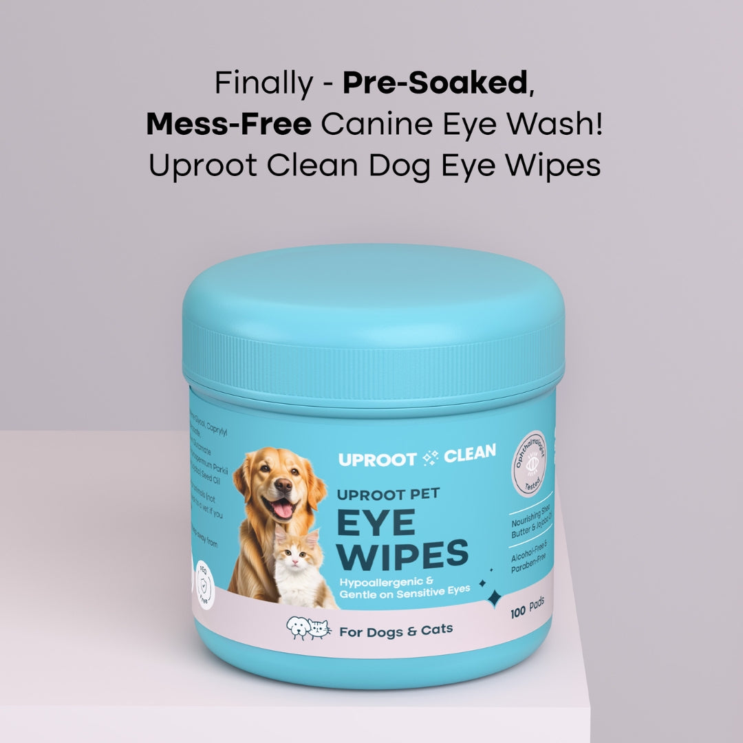 Uproot Eye Wipe Pads - Image 7