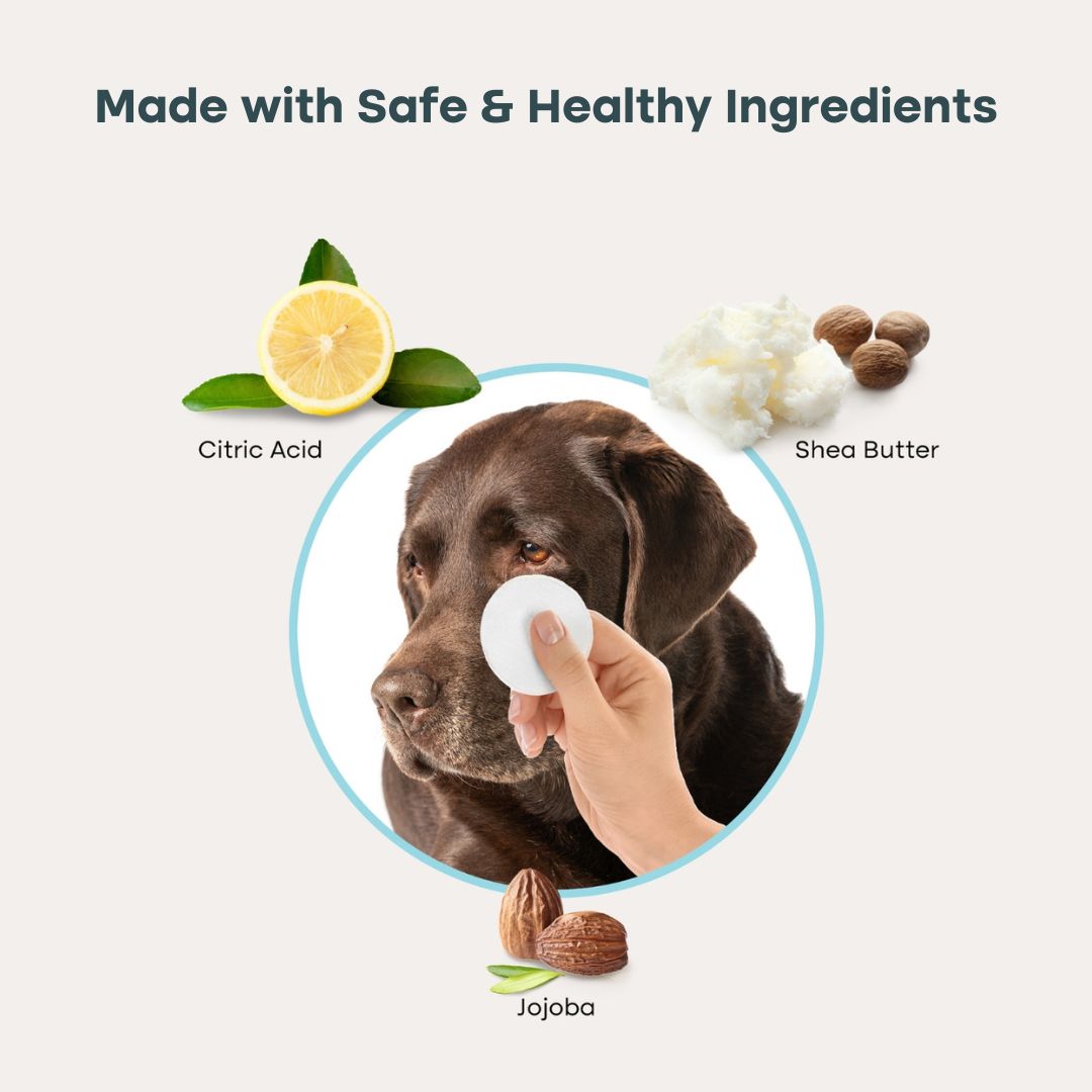Uproot PureCare™ Kit - Image 5